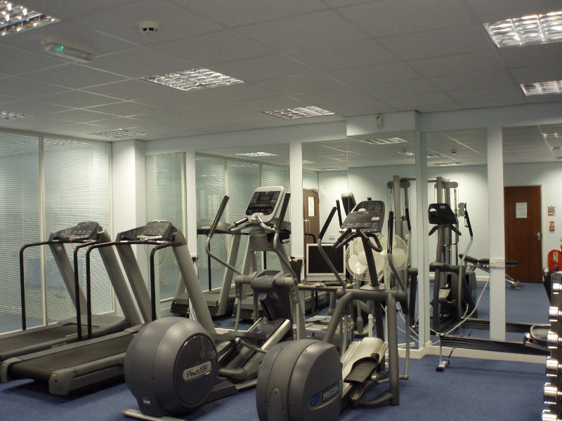 Example Gym Mirrors