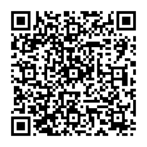 QRCODE - shop-products-mirror-and-glass-accessories-glass-accessories-suction-cup-lifters-detail