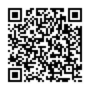 QRCODE - shop-products-mirrors-wardrobe-mirror-400-x-2100-detail
