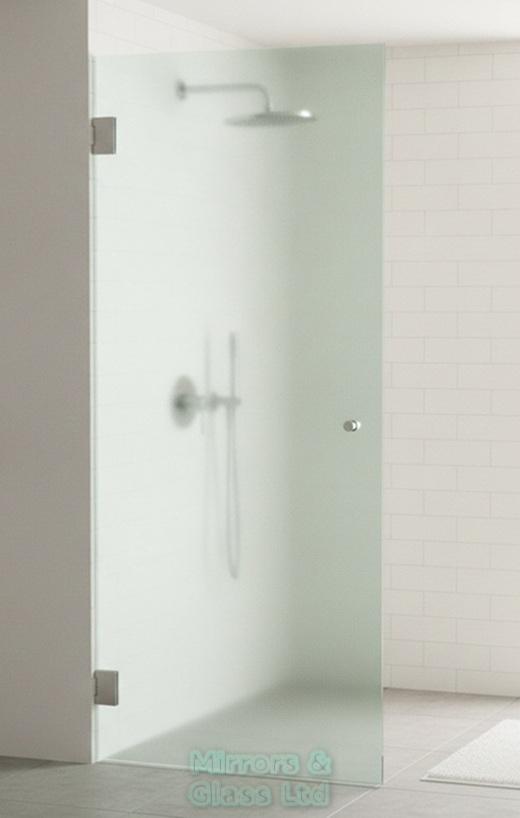 Example Glass Shower Door